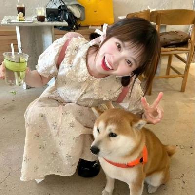 摇滚东京恋习曲